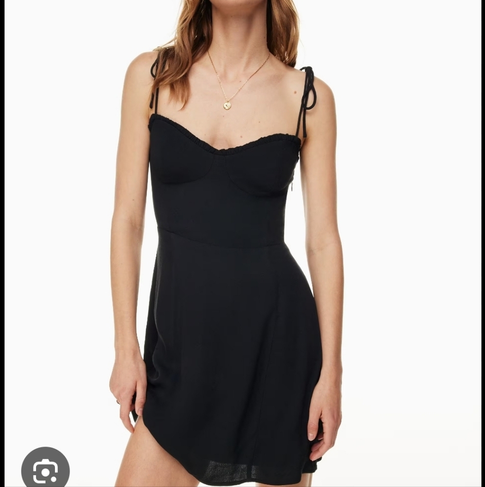 The Wilfred Fable Mini Dress from Aritzia